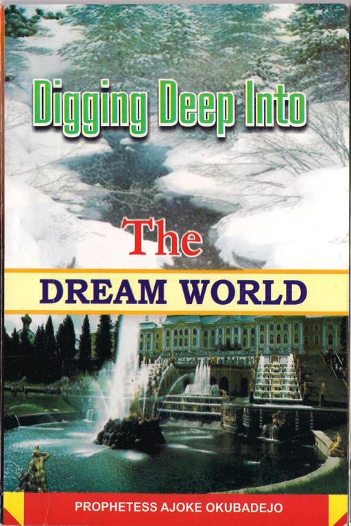 Digging Deep into the Dream World: front cover